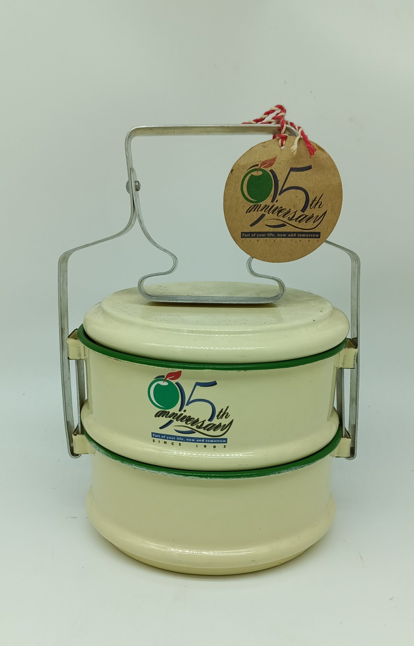 yellow-green-rim-2-layered-enamel-tiffin-carrier-singapore-pickers